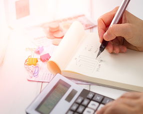 2025廊坊企业社保服务哪家好？经济信息咨询公司选择指南